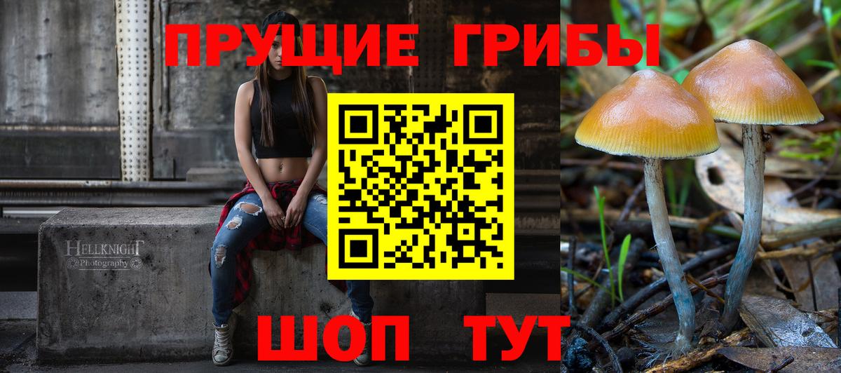 Сухой Лог  Псилоцибиновые грибы прущие грибы  Вход с VPN 