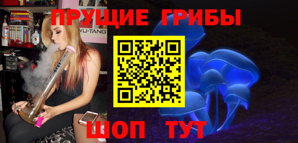 Сухой Лог  где найти   Вход с VPN  Галлюциногенные грибы Cubensis 